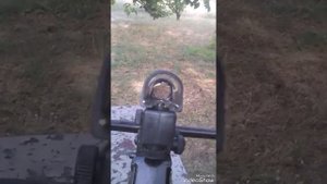 Какой-то китайский коллиматорный прицел установил на старый арбалет МК -50