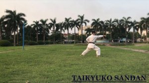 TAIKYOKU SANDAN - SHOTOKAN RYU- KARATE - KATA