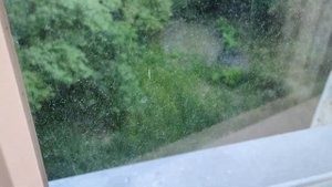 Больше никогда не выбрасывайте использованные чайные пакетики! Делюсь секретом ?