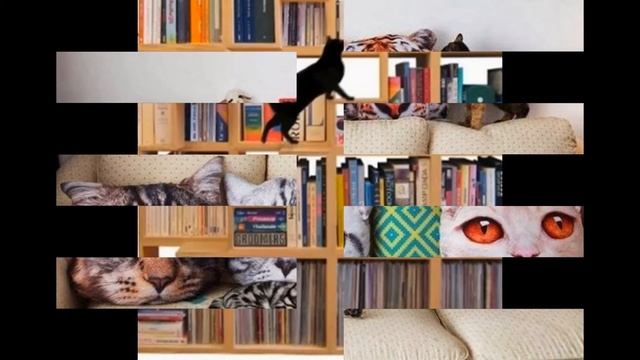 КОТ. №5 Кошкин дом.(ЧАСТЬ1) смотреть онлайн