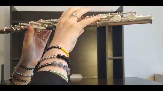 Stray Kids - Story That Won't End (끝나지 않을 이야기) | Flute Cover | Notes in the description смотреть онлайн