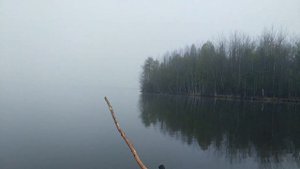 Туман над озером