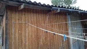 Наступила зима. У нас обед. В первую очередь бегу кормить живность.