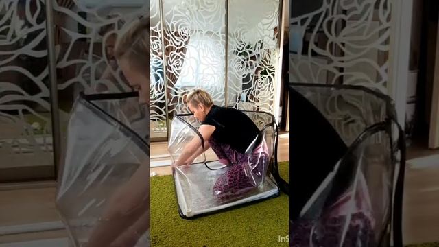 Содержание котят. Больше инфы по бенгальким котятам тут ? Истаграм instagram.com/bengal_zarina