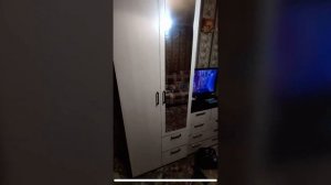 Шкаф распашной «Виста-1»