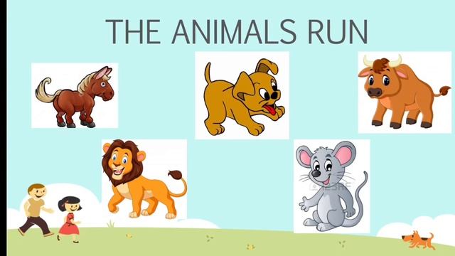 Run, Fly, Jump, Swim смотреть онлайн