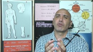 Чистим Меридиан Печени F.