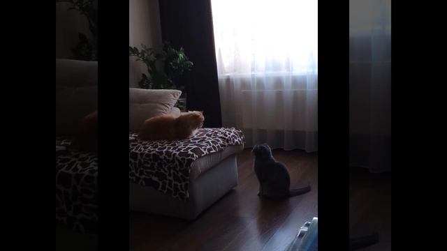 как всегда