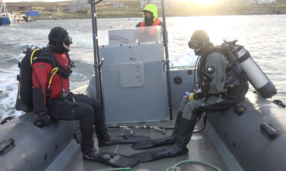 Дайвинг в Зеленецкой бухте смотреть онлайн