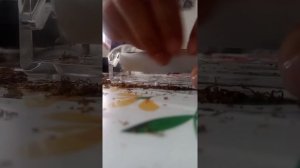 Как закрутить сигарету