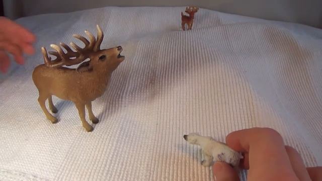 Животные Арктики или путешествие белого медвежонка. смотреть онлайн