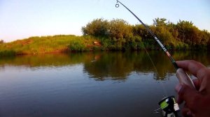 Ловля на попло попер окуня, сорожки, есльца