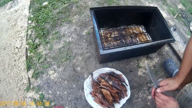 Копченый окунь горячего копчения Готовим окуней горячего копчения
