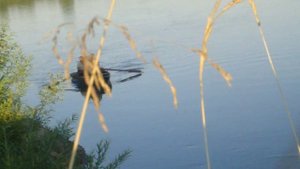 Рекоунженские зарисовки