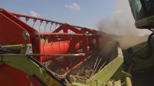 Работа комбайна в поле с близкого расстояния