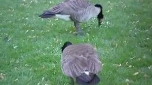 Berlin: Tiergarten Welt der Tiere