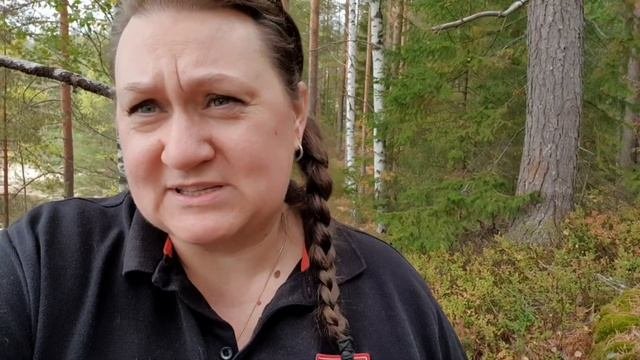 Осиновый кол для вампиров. Почему именно осина? Деревья лекари. Как осина и дуб мне здоровье вернул