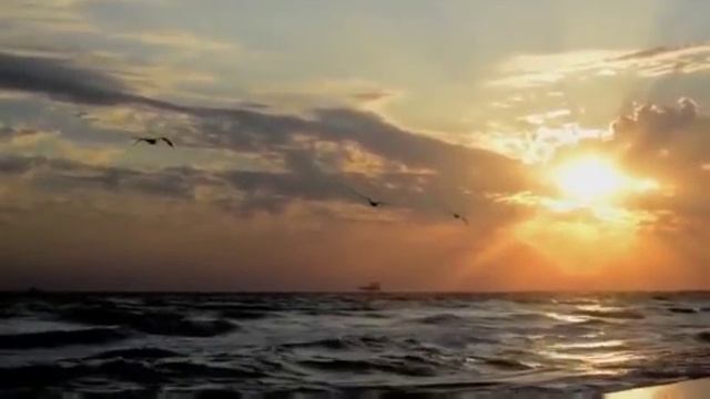 ....нас тянет к тем кто душу обнимает... смотреть онлайн