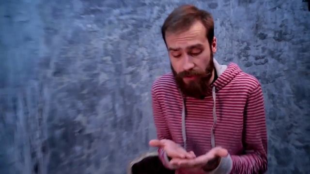 Кшиштовский о размножении ежей смотреть онлайн