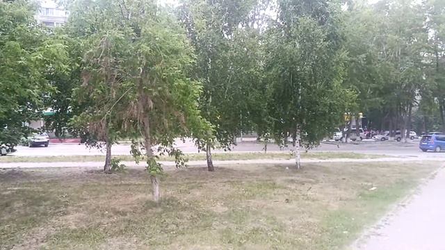 г. Новосибирск, ул. Громова д.21/1 смотреть онлайн