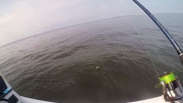 Джиговая ловля на резину Kosadaka Loopy Shad