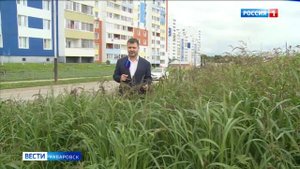 Покос травы