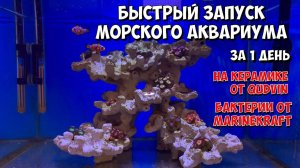 Морской аквариум | Полный запуск за 1 день