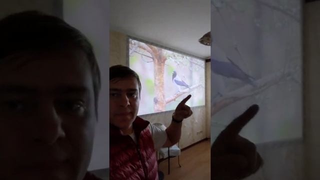 ЭКРАН ДЛЯ ПРОЕКТОРА СВОИМИ РУКАМИ. РАБОЧИЙ БЮДЖЕТНЫЙ ВАРИАНТ смотреть онлайн