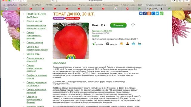 Низкорослые сорта помидор. Лучшие сорта помидор, Сорта помидор для теплицы