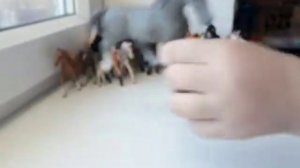 Огромная распаковка лошадей schleich на День Рождения! С озон!