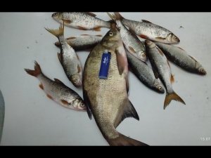 Таватуй 15 07 2024