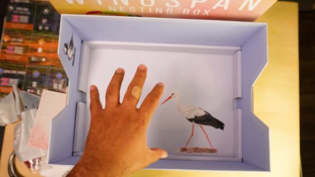 Wingspan Nesting Box - Unboxing and Review - Including European, Oceania & Asia Expansions! смотреть онлайн