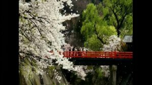 Суперсады в Японии!