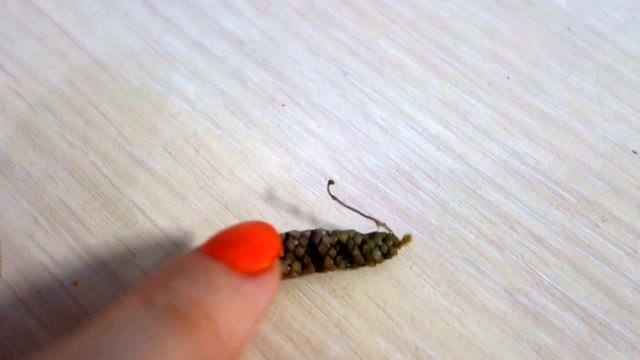 Возобновление роста у ризомы ахименесов при повреждении основного ростка смотреть онлайн