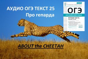 Аудио текстов ОГЭ. Гепард. Текст 25. Английский язык 7-9 класс