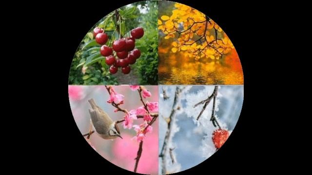 История возникновения цифр. смотреть онлайн