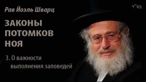 3. О ВАЖНОСТИ ВЫПОЛНЕНИЯ ЗАПОВЕДЕЙ \ Рав Йоэль Шварц