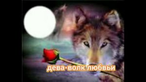 Какой ты волк по знаку зодиака🐺♥️