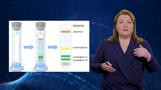 Методы биологических исследований..mp4