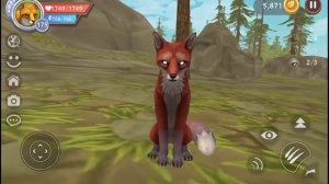 ЛАРОНА в ВАЙЛД КРАФТ