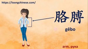 Parts of the body in Chinese. Части тела по-китайски. 身体的部分