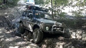 Убинка пшд вдп дуб Новосадовый 520я Убинка 24 08 14г