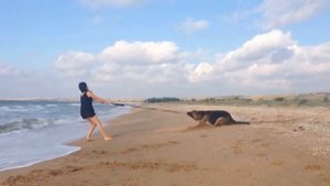Крым. Азовское море. Нижнезаморское. Подружки.