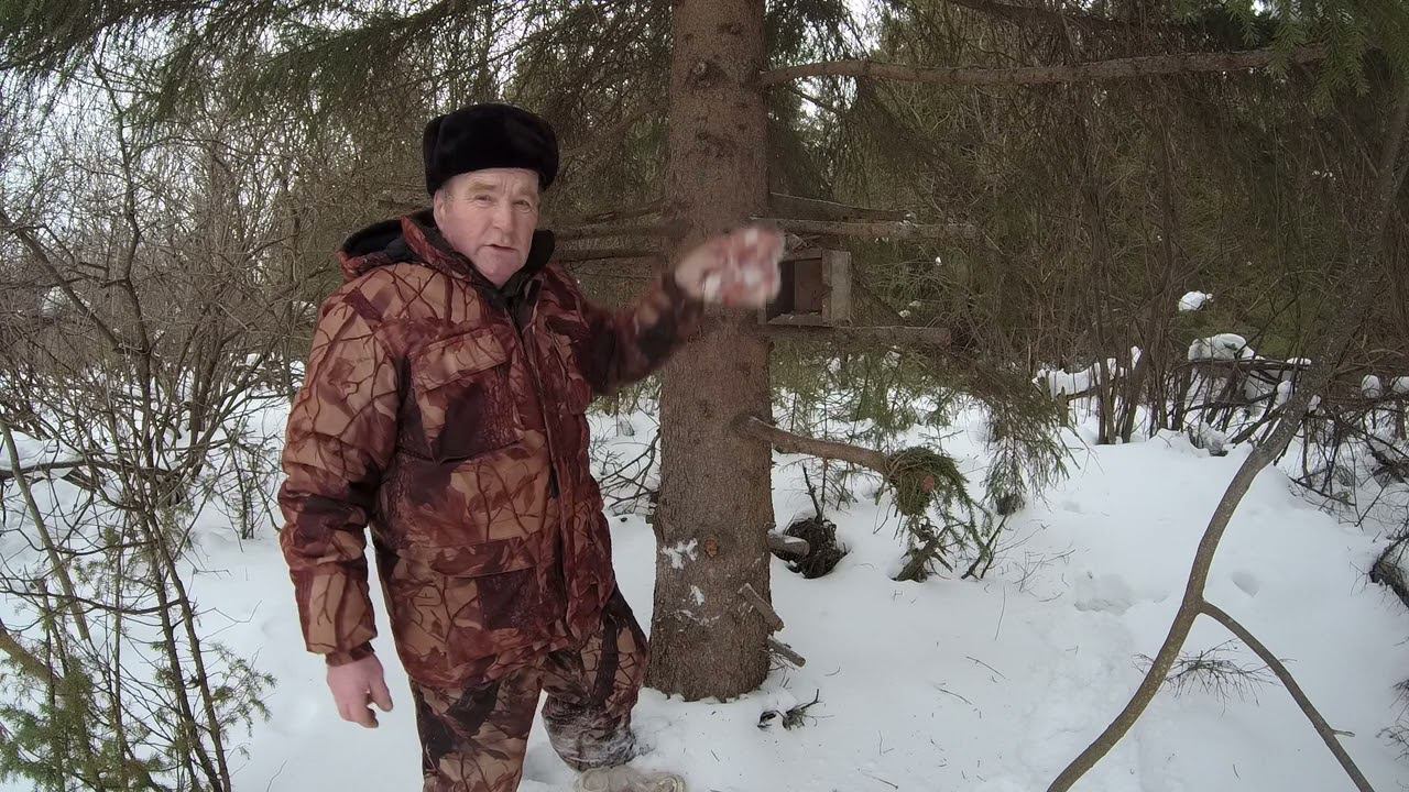 Кормить или не кормить куницу? смотреть онлайн