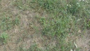 Сделал ливневую канализацию. Ливневая канализация своими руками.