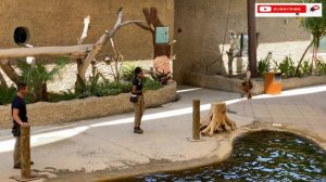 Dubai Safari Park/Dubai Safari Park in Malayalam/Dubai Safari Park 2020/Dubai Zoo/Dubai Park