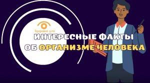 Интересные факты об организме человека