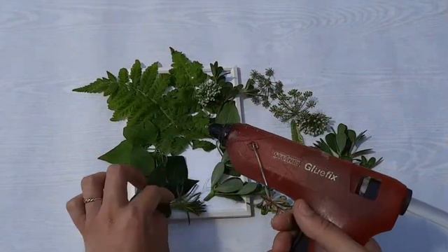 Картина с живыми растениями!