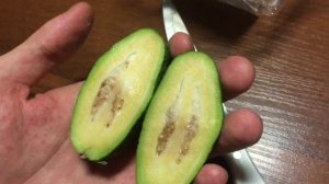 Как вырастить ФЕЙХОА!!! (Из азбуки вкуса)