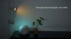 Product Intro Tapo L630